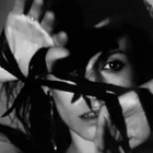 Quantum Angel profile picture